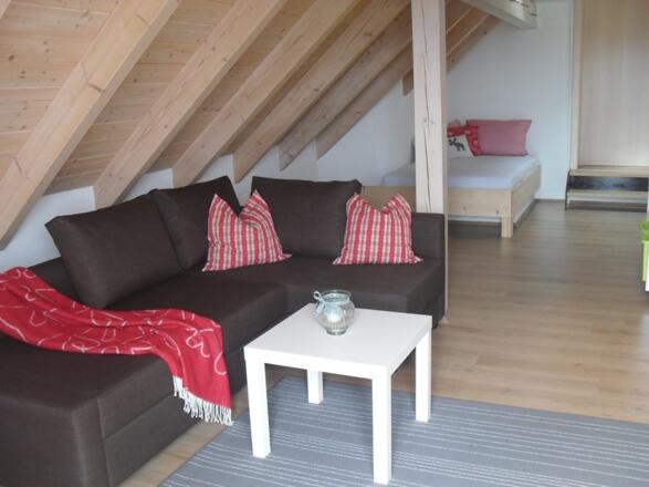 Wohn-/Essraum mit zusätzlichem Bett