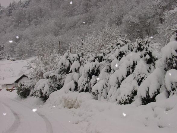 Apartment St.Nikola W 6