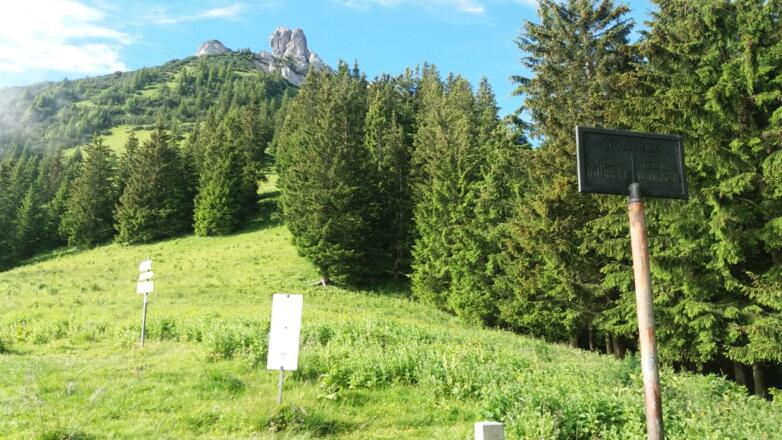Grasiger Sarojasattel, 1637 m, mit erstem Blick zu den Drei Schwestern.