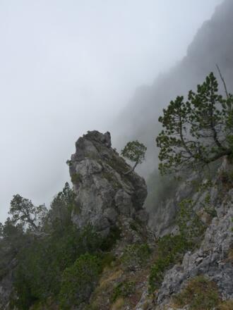 Auf dem Fürstensteig