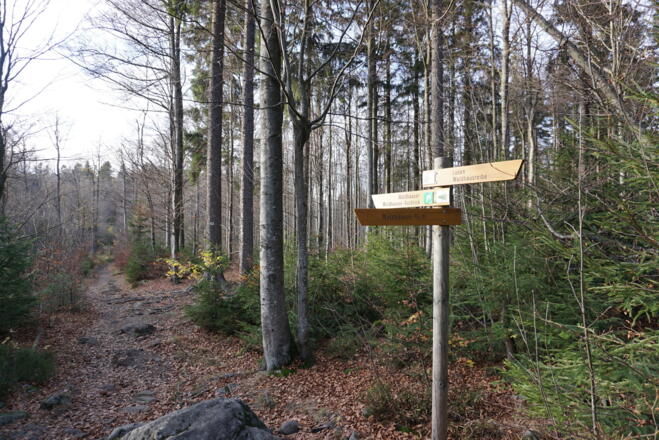 Weggabelung - wir folgen dem grünen 3-Eck