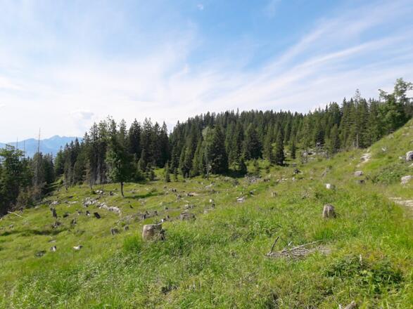 Landschaft vor der Eggenalm