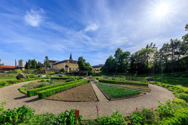 Klostergarten Gemüsesonne