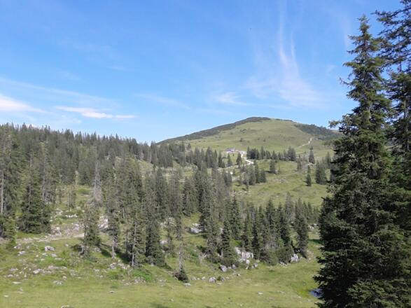 Blick zur Eggenalm mit dem Straubinger Haus