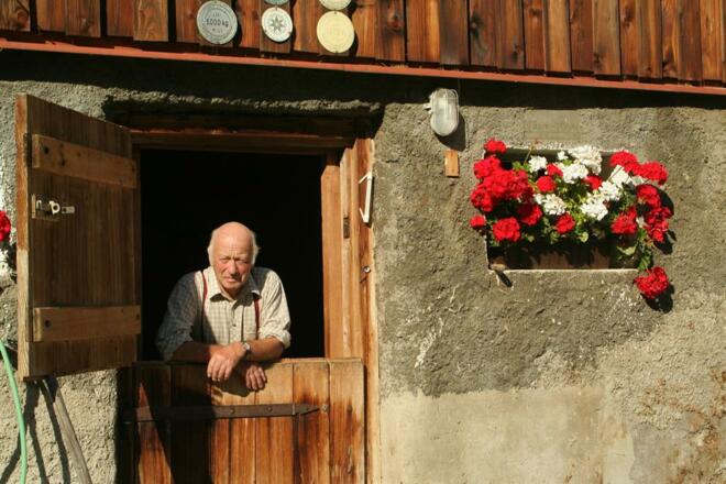 Blick aus der Stalltür