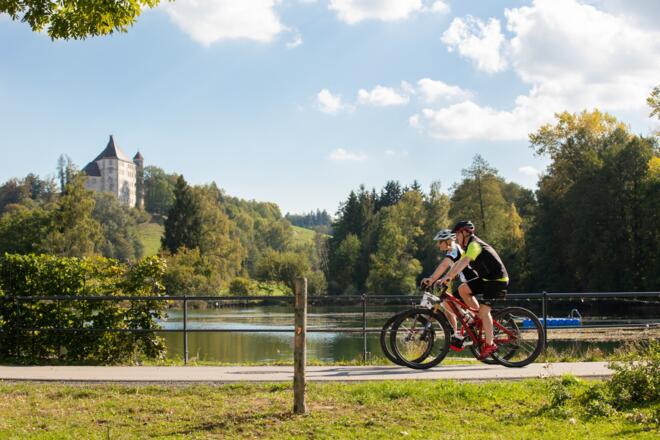 Rad_Louis_Zuchtriegel (33)