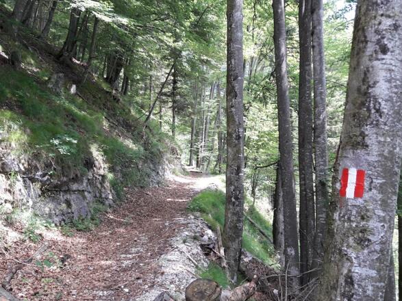Mäßig steiler Weg zur Hasenaualm