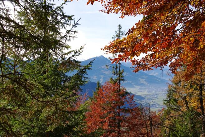 Blick zum Kitzbühler Horn