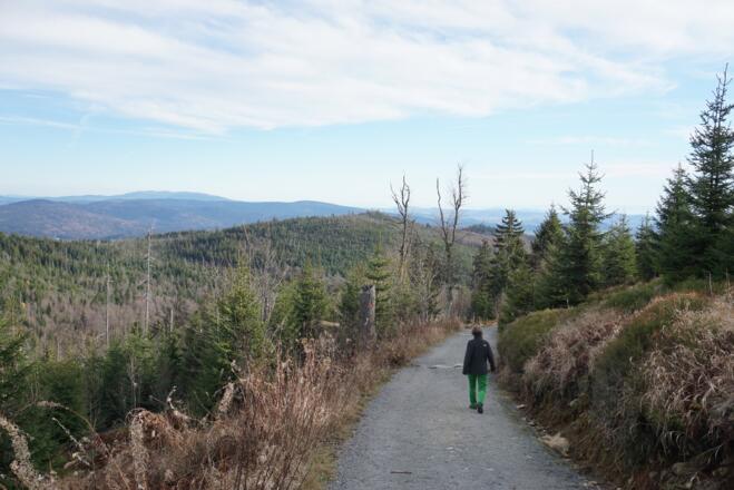 Winterweg vom Schutzhaus im Abstieg