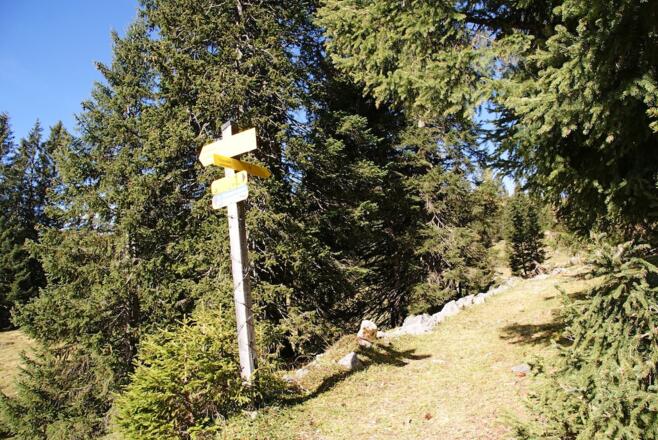 Weiterweg nach der Wirtschaftsweg-Querung