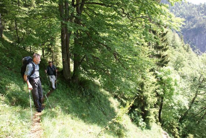 Gernweg - Mittelteil