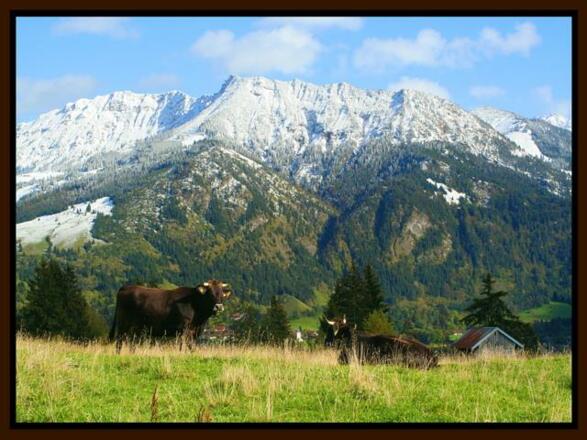 Frühling Iselerblick