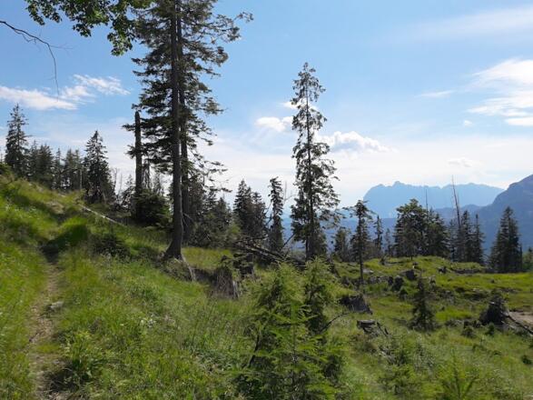 Aussicht zum Wilden Kaiser nach der Neualm