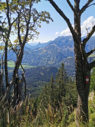 Abstieg Richtung Pyhrnpass