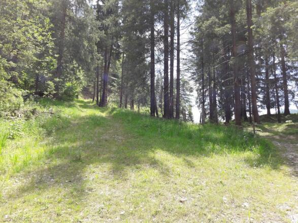 Weiterweg über der Einfangalm