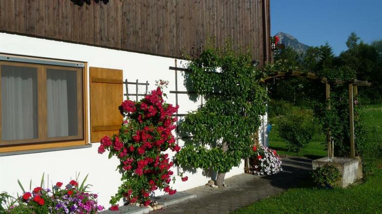 Westseite mit Garten