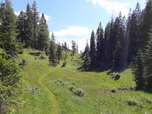 Landschaft nach der Neualm