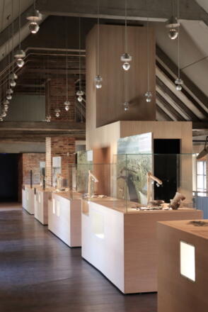 Museum für Steinzeit und Gegenwart