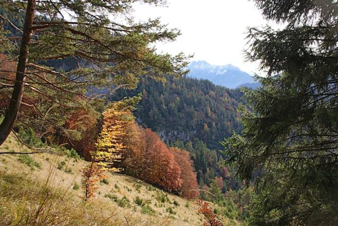 Blick zu den Loferer Steinbergen