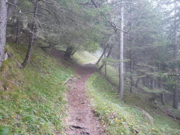 Anstieg von Gaflei zum Fürstensteig