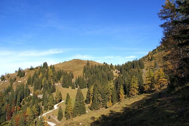 Blick zum Eggenalm-Wirtschaftsweg