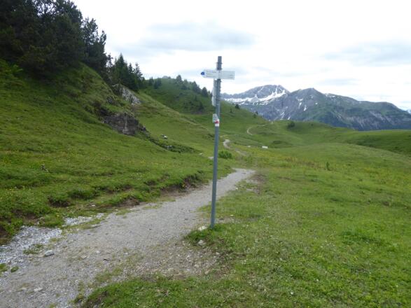 Wegweiser an Abzweigung