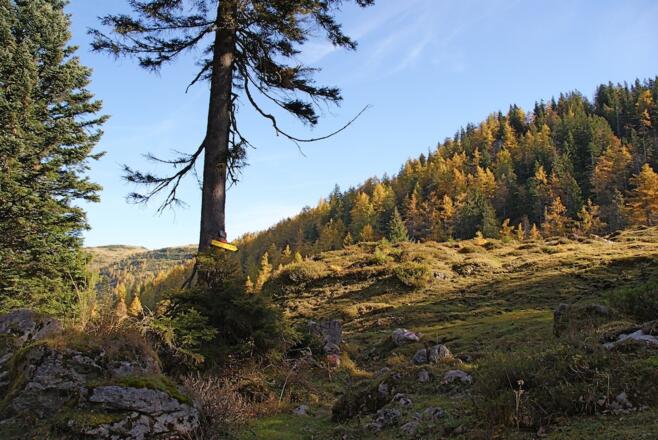 Richtungsänderung bergauf am Beginn der Kreuzangeralm