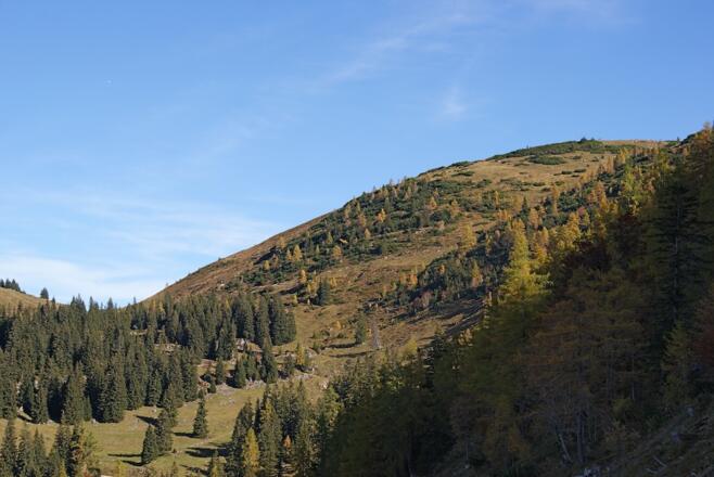 Blick auf den Fellhorn-Westhang und zum Wirtschaftsweg