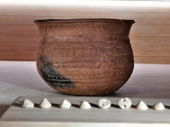 Museum für Steinzeit und Gegenwart