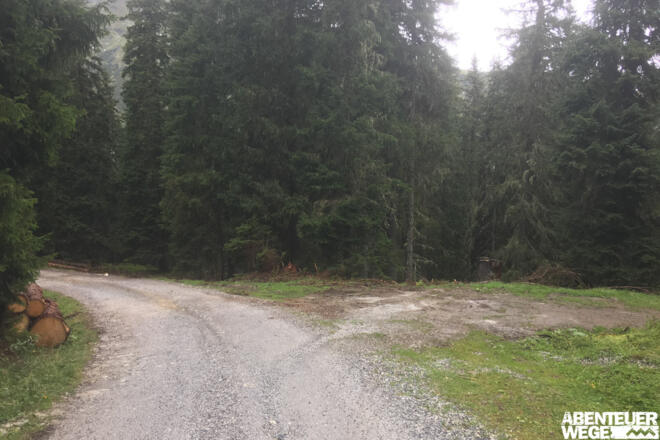 8.30 km - Rechts abbiegen vom Fahrweg und rot-weiß markiertem Pfad durch Wald folgen.
