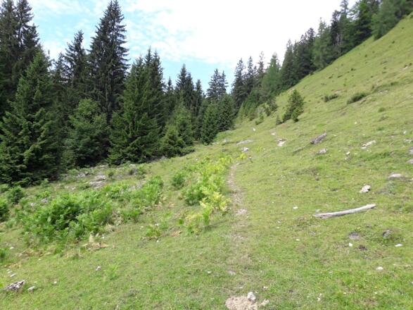 Steig nach der Weißensteinalm
