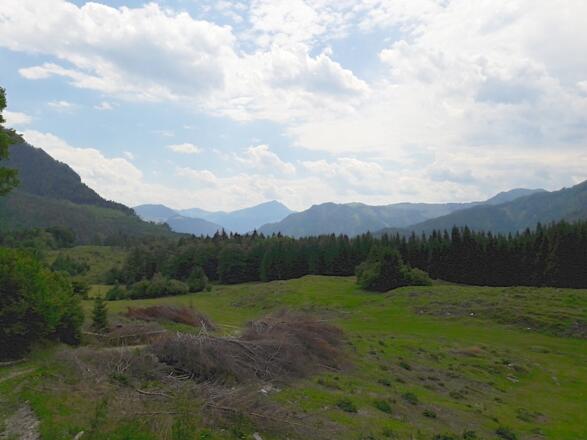 Aussicht von der Hackalm