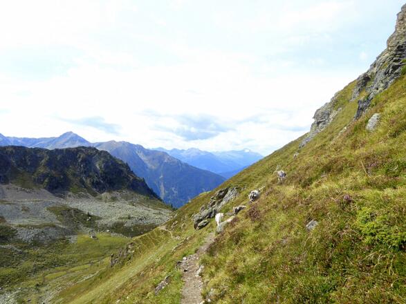 Unterwegs ins Riegetal