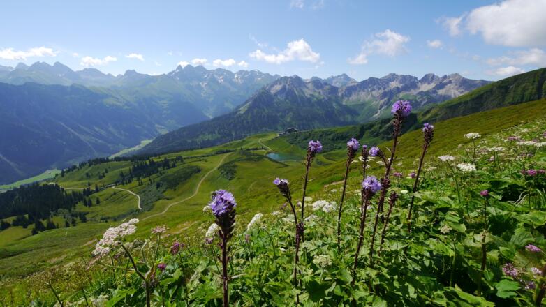 Beeindruckender Blick auf den Allgäuer Hauptkamm, vorn der Schlappoltsee und die Mittelstation der Fellhornbahn