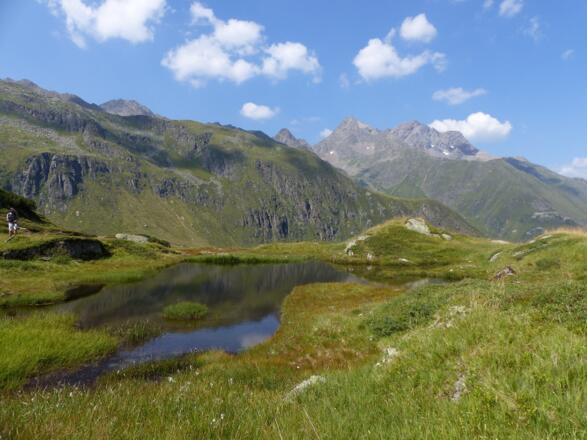 Wahre Kleinodien säumen den Weg.