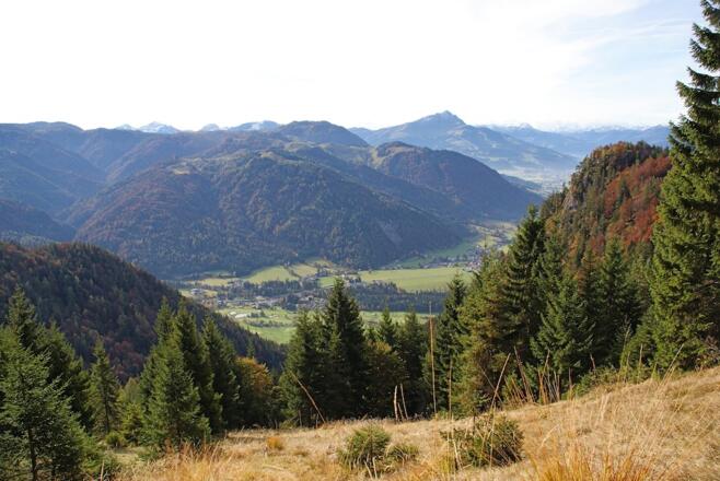 Blick zum Kitzbühler Horn