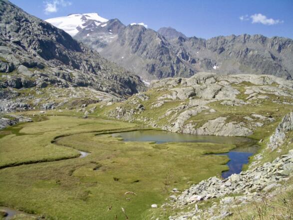 Hochmoor mit dem Wilden Freiger im Hintergrund. Der Aufstiegsweg von der Nürnbergerhütte folgt dem Grat, den man hier sieht - erst im oberen Bereich läuft der Weg direkt am Grat.
