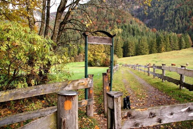 Bei den Torpfosten beginnt der Steig am Golfplatzrand