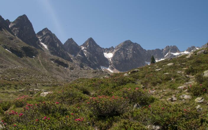 Hinterer Teil des Mittertals