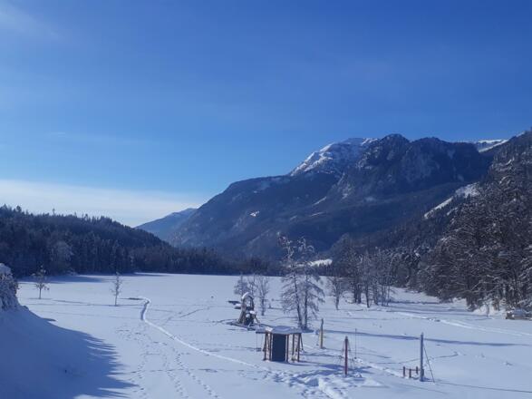 Camping Seehof Wiese im Winter