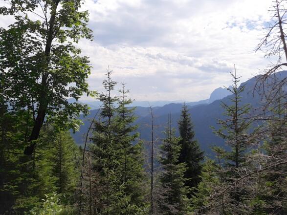 Aussicht vor der Neualm