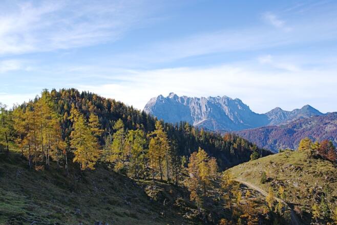 Kreuzangeralm mit Wildem Kaiser dahinter