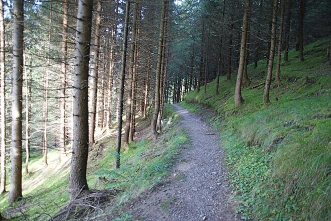 Waldpfad über dem Golfplatz