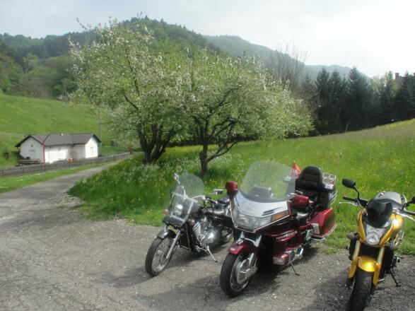 Apartment St.Nikola S 11