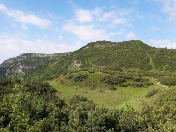 Rückblick zum Fellhorn und Panorama-Weg um den Eggenalmkogel