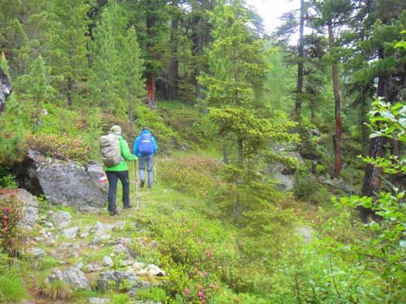 Von der Gehsteigalm ins Ötztal