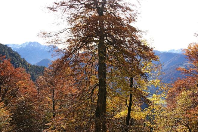 Blick zu den Loferer Steinbergen