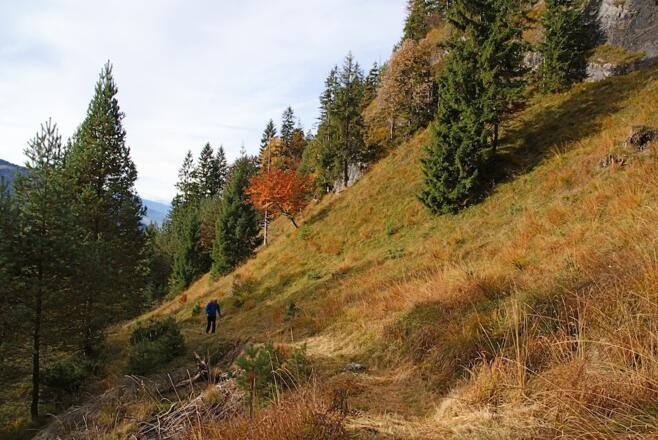 Gut begehbarer Steig im Mittelteil