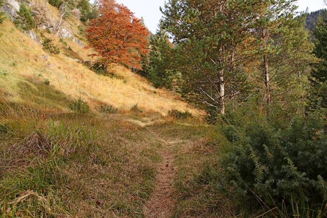 Gut begehbarer Steig im Mittelteil