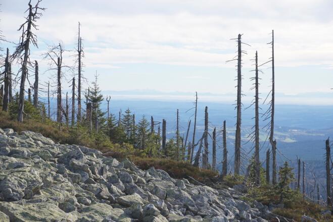 Alpenpanorama unterm Gipfel